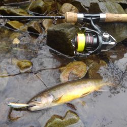 雨の渓流ミノーイング